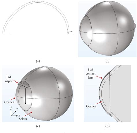 Finite Element Analysis of Cornea and Lid Wiper during Blink, with …