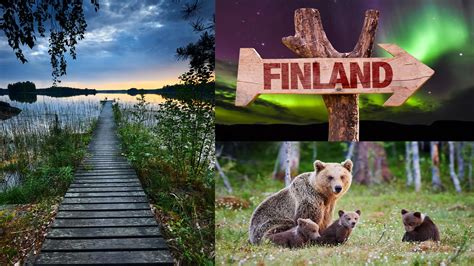 Finnish Onlyfans Leak