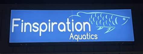 Oct 25, 2022 · Finspiration Aquatics - is NOW OPEN! Christopher Benes & Family had a "soft" opening on 10/24/22. The shop is located at 2310 E. Sharon Road,... Finspiration Aquatics - is NOW OPEN! Christopher Benes & Family had a "soft" opening on 10/24/22.