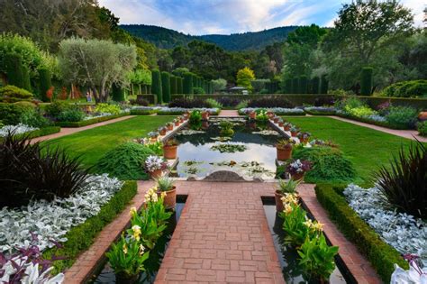 Fioli garden. Filoli members can access the Garden at 9am on our busy spring weekends! Stop by to say good morning to our flowers on Saturday and Sunday mornings. Reserve Now. Golden Hour. Filoli is open on select … 