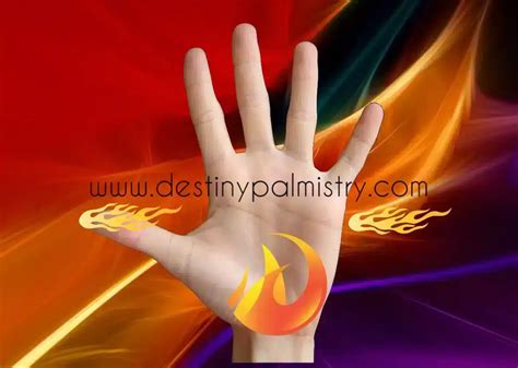 Fire Hand Shape in Hand Analysis - Destiny Palmistry