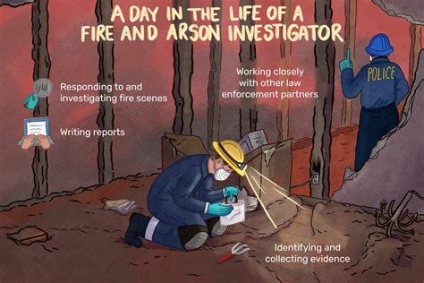 Fire Investigator: Career Profile, Employment Outlook, and Educational