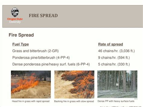 Fire bricks wellington nz.  Monitor fire spread, intensity, and lightning s...
