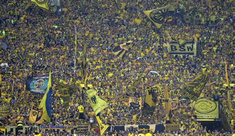 Fire department removes wasp-swarmed spotlight before Dortmund’s title-deciding Bundesliga game