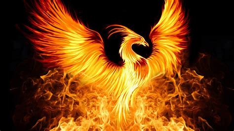 Fire phoenix. Things To Know About Fire phoenix. 