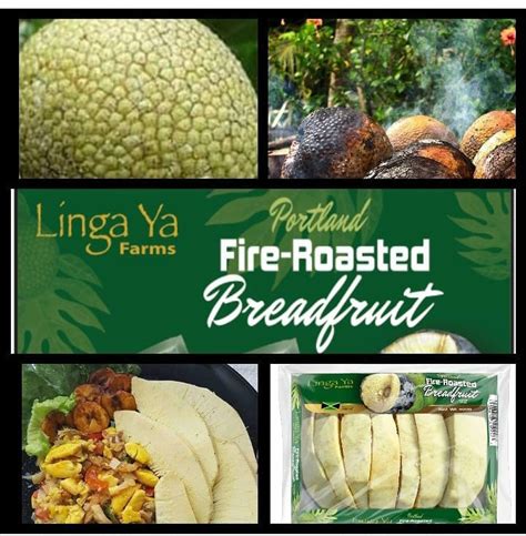 Fire roast breadfruit - Sweet Jamaica Shopping