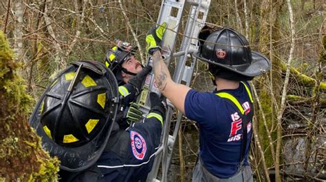Firefighters come to the rescue of parachutist stuck in tree