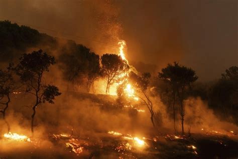 Firefighters in Greece have discovered the bodies of 18 people in an area struck by a major wildfire