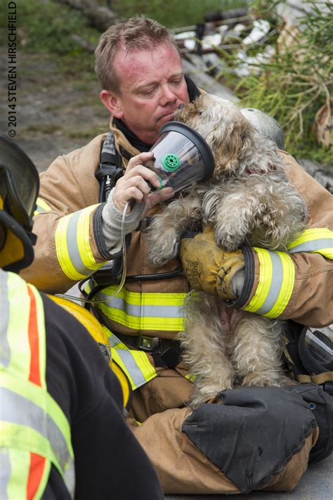 Firefighters rescue dog from house fire; nine residents displaced