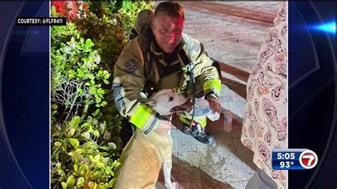 Firefighters save dog after house catches on fire in Fort Lauderdale