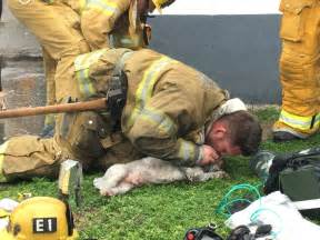 Firefighters save dog trapped between two warehouses in Hialeah