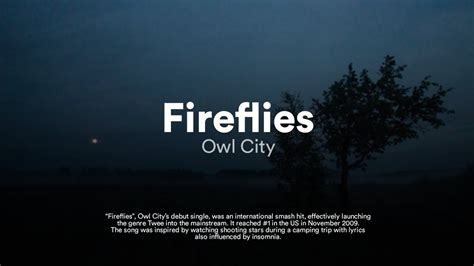 Fireflies (Slowed + Reverb) - song and lyrics by Sleepy Cat …