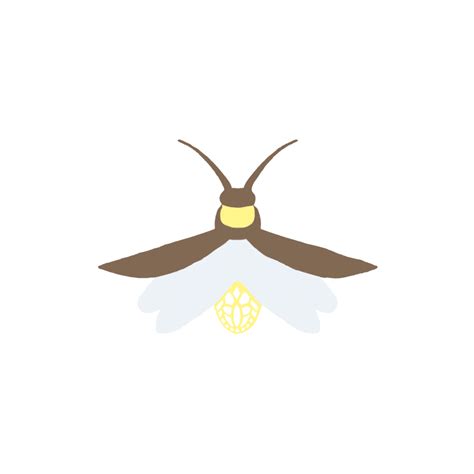 Firefly PNG Transparent Images Free Download Vector Files