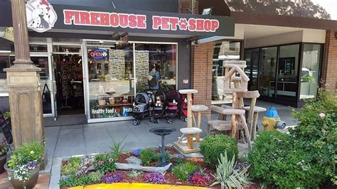Firehouse pet shop. Things To Know About Firehouse pet shop. 