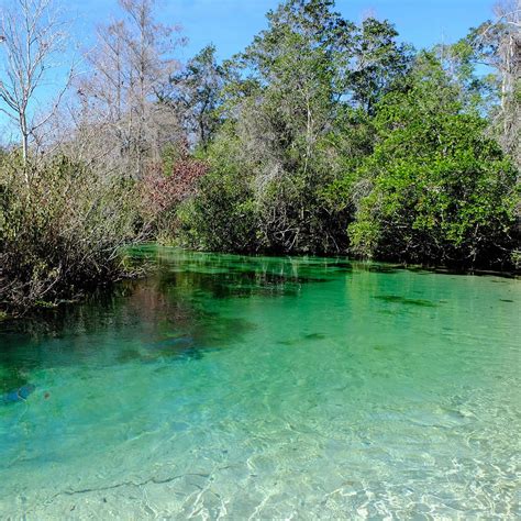 Firepits, Spring Hill, Weeki Wachee, Homosassa, FL