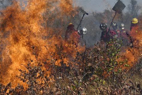 Fires not the only threat facing Amazon - Phys.org