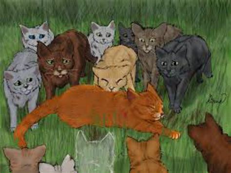 First mentioned on Firestar's page, Sandstorm is said to be the cat that Firestar, then Fireheart, grew close to after the death of Spottedleaf during a ShadowClan attack on ThunderClan's camp. Soon after he became Firestar, leader of ThunderClan, Sandstorm gave birth to Leafkit and Squirrelkit, their daughters.. 