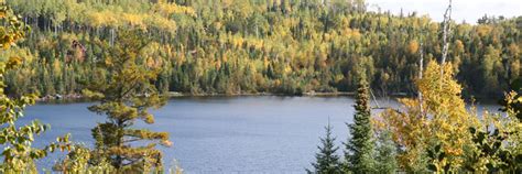 Firewood - BWCA-Duluth-Gunflint Trail-North Shore Lake Superior …