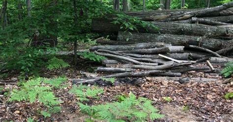 Firewood traverse city. .  ...