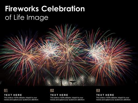 Fireworks Celebration Of Life Image PowerPoint Presentation Images Templates PPT Slide
