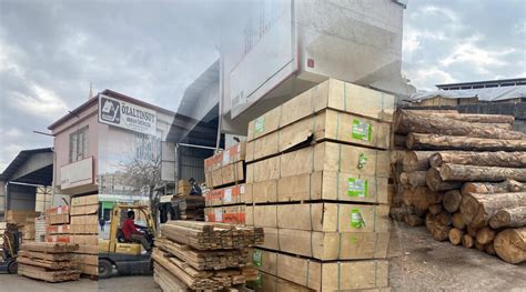 Firma Polatli Cozum Orman Urunleri. 