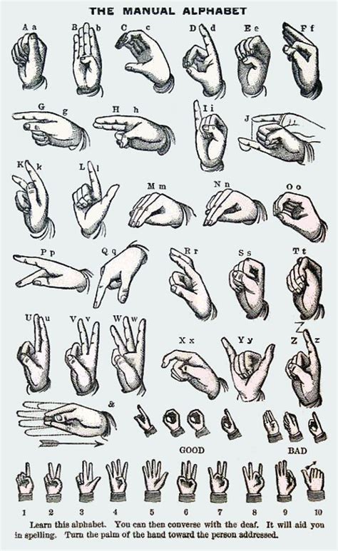 First Manual Alphabet
