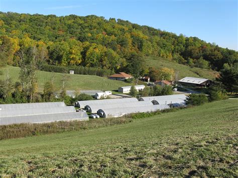 First Step Farm of WNC Offers Healing - The Laurel …