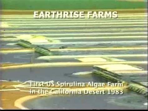 First USA Spirulina Production: Earthrise Farms 1983