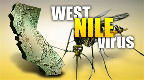 First case of West Nile virus found in Santa Clara County