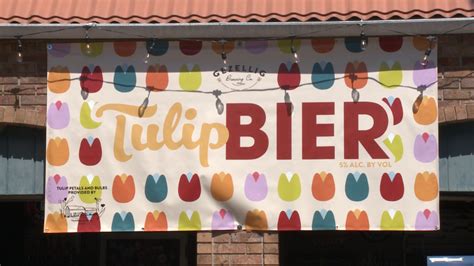 First ever beer made with tulips in the US debuts
