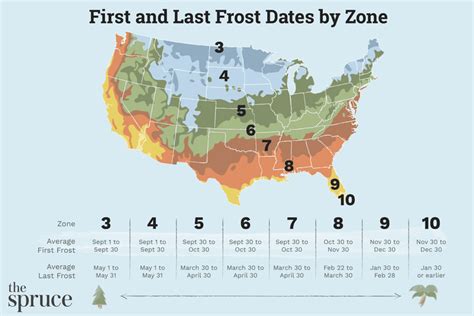 A frost date is the average date of the last light freeze in spring or the first light freeze in fall.. The classification of freeze temperatures is based on their effect on plants: Light freeze: 29° to 32°F (-1.7° to 0°C)—tender plants are killed. Moderate freeze: 25° to 28°F (-3.9° to -2.2°C)—widely destructive to most vegetation. Severe freeze: 24°F (-4.4°C) and colder—heavy .... 