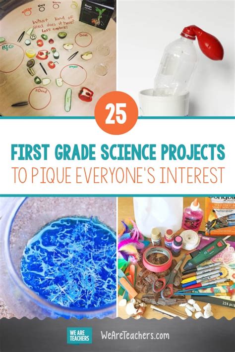First grade science projects. .  <a href=http://colegioelefantinhoazul.com.br/sui1w...
