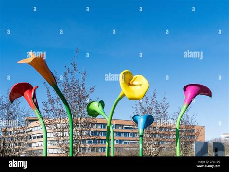 First homosexual movement