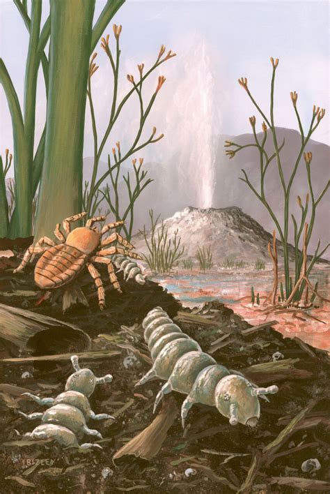 First insects on earth. The first arthropods arose in ancient PreCambrian Seas over 600 million years ago. Since that time they have evolved to become the most abundant and diverse group of animals on Earth. They have successfully invaded virtually every habitat and exploited every imaginable lifestyle and developmental strategy. 