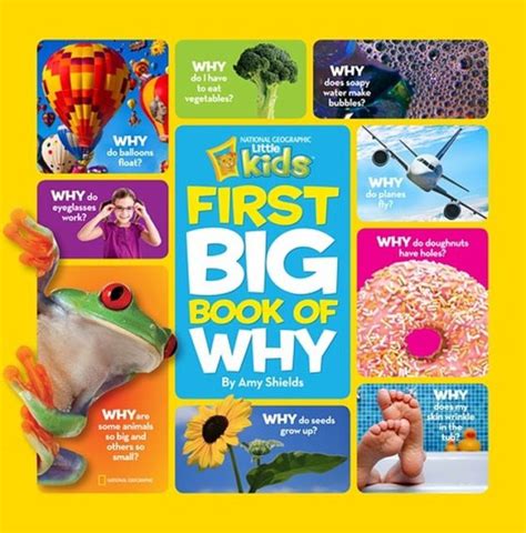 Read First Big Book Of Why National Geographic Little Kids By Amy Shields