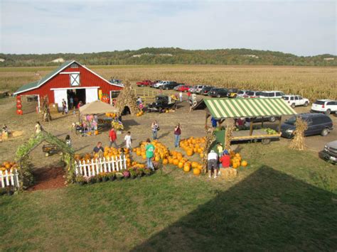 Fischer Farms Pumpkin Patch - Jefferson City, MO 65101