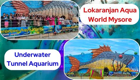 Fish Aquarium of Mysore city/Aqua World Mysore Karnataka