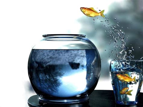 Fish Bowl Wallpapers - Wallpaper Cave