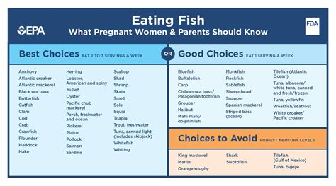 Fish Chart For Pregnancy