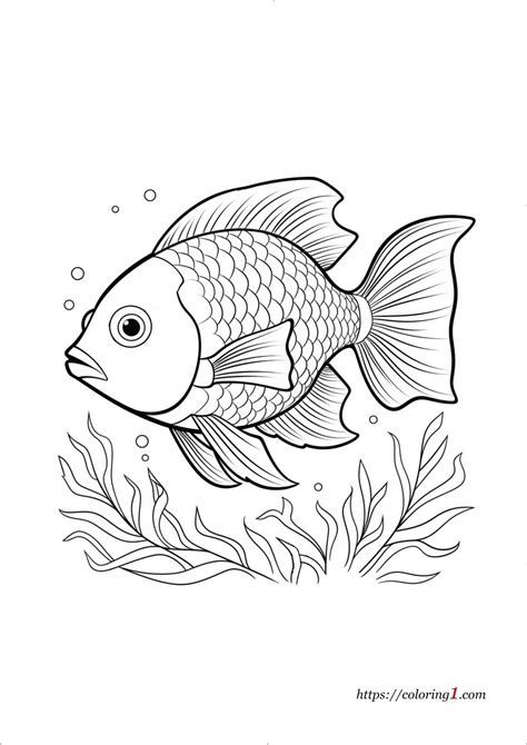 Fish Coloring