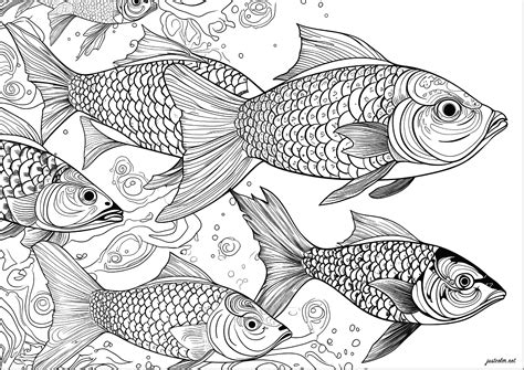 Free Coloring Sheets Preschool