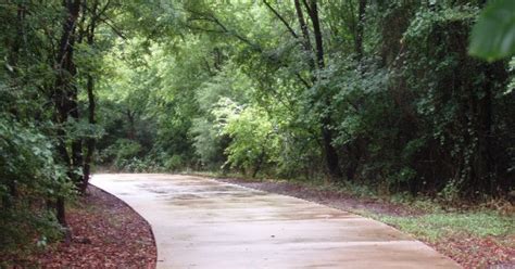 Fish Creek: Road Accessible Bear Viewing