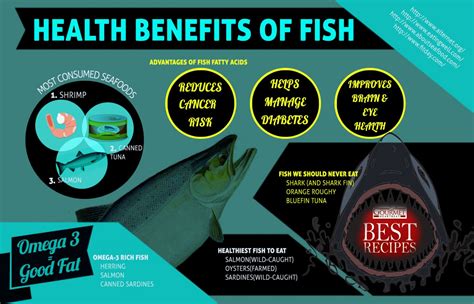 Fish Health & Wellness: Fungus, Ich Treatment petco.com