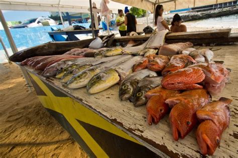 Fish Market - Grand Cayman Message Board - Tripadvisor