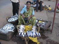 Fish Market in Mangalore - Mangalore Taxi