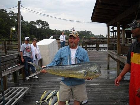 Fish Screamer Charters (Little River) - All You Need to