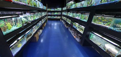 Fish Store in Grand Junction, CO Aquarium & Fish Tank …