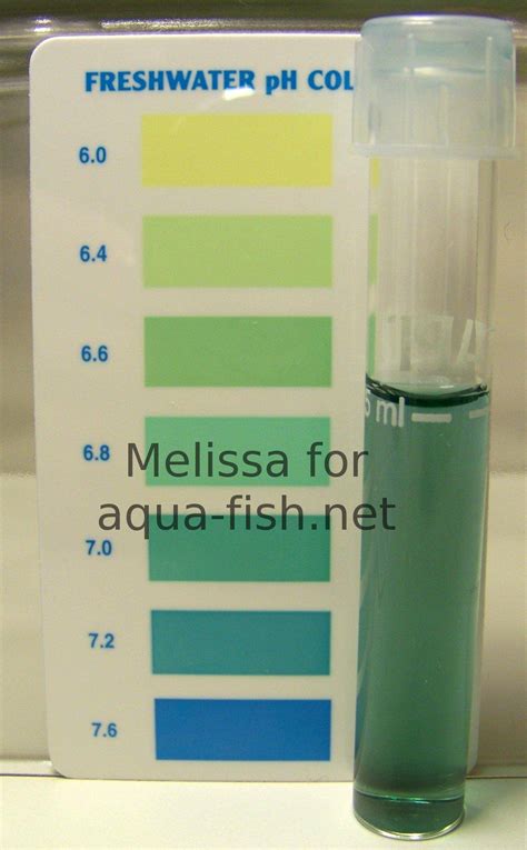 Fish Tank PH Understanding And Controlling Fish PH Aquapona