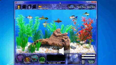 Fish Tycoon Strategy Tips