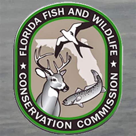Fish and wildlife florida. Things To Know About Fish and wildlife florida. 